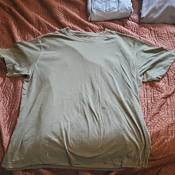 Eddie Bauer Men's Sage Green Short Sleeve Tee - Picture 1 of 3